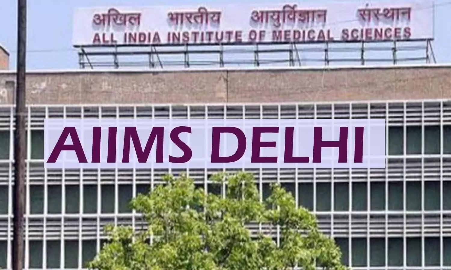 aiims delhi food